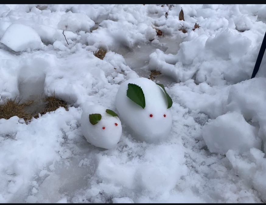 地域ケアステーション ゆずり葉（作業療法士の求人）の写真6枚目：