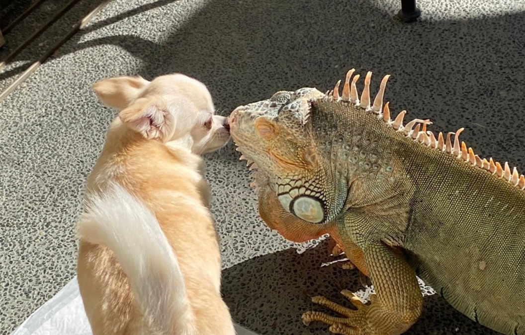 生活介護施設・アトリエカフェキズナ（生活支援員の求人）の写真9枚目：