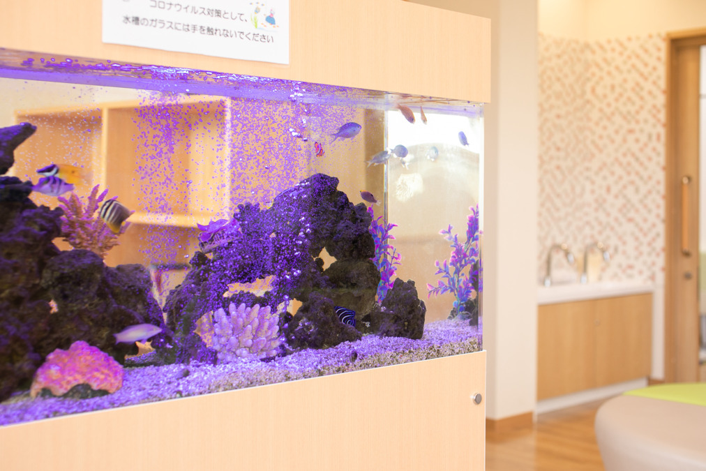 こぐま診療所（医療事務/受付の求人）の写真3枚目：