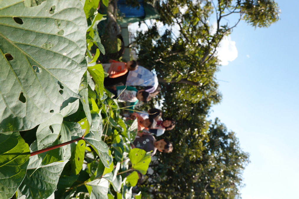 にんじん村保育園(調理師/調理スタッフの求人)の写真2枚目: