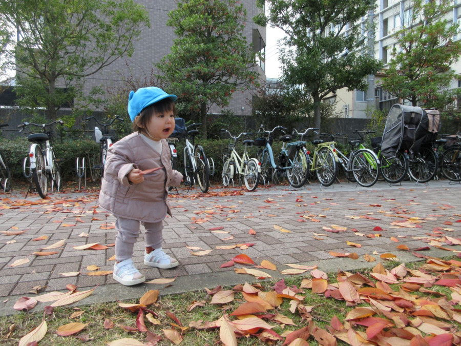 トレジャーキッズうらやす保育園（保育士の求人）の写真5枚目：