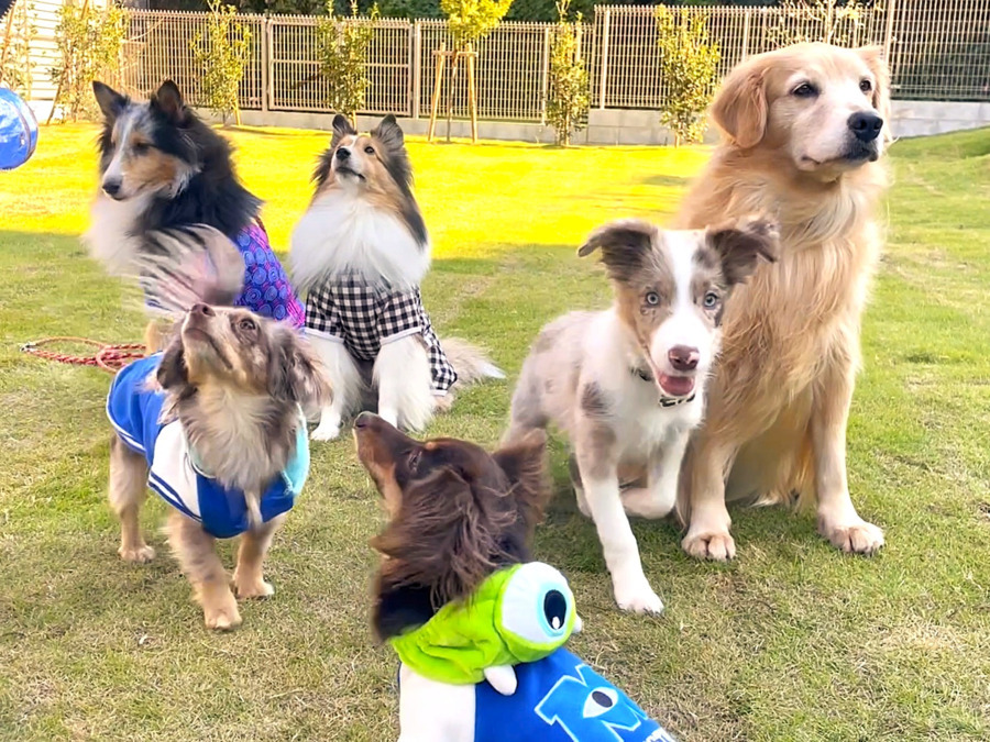 特別養護老人ホーム　横浜旭いこいの里の写真