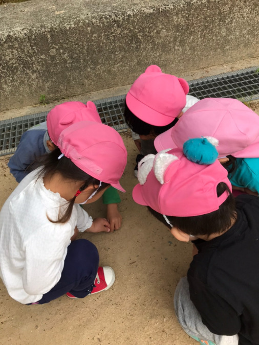 ALOHA保育園たちばな園の写真2枚目：