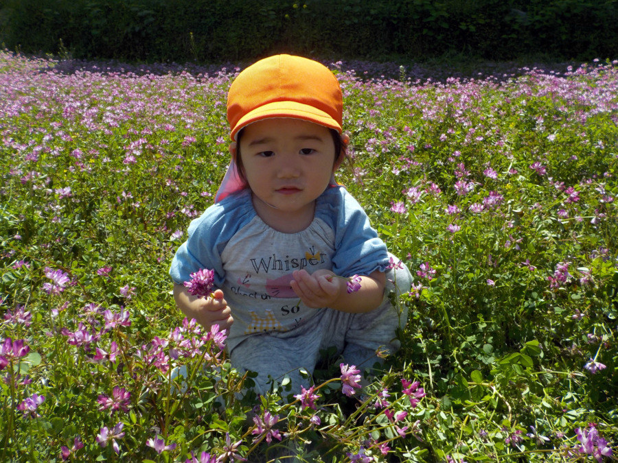 第２さつき保育園の写真8枚目：幼稚園の畑や田んぼにお出かけしたり、自然とたくさん触れ合えます♪