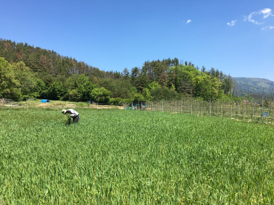 わっこ谷の山福農林舎の写真8枚目：