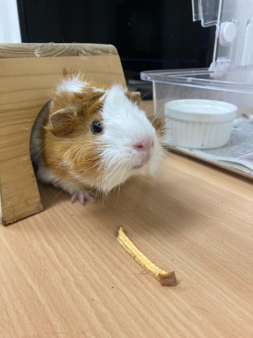 訪問看護ステーションmaruco(看護師/准看護師の求人)の写真5枚目: