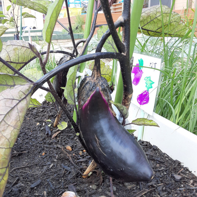 社会福祉法人真誠樹会（一般事務/管理部門の求人）の写真9枚目：