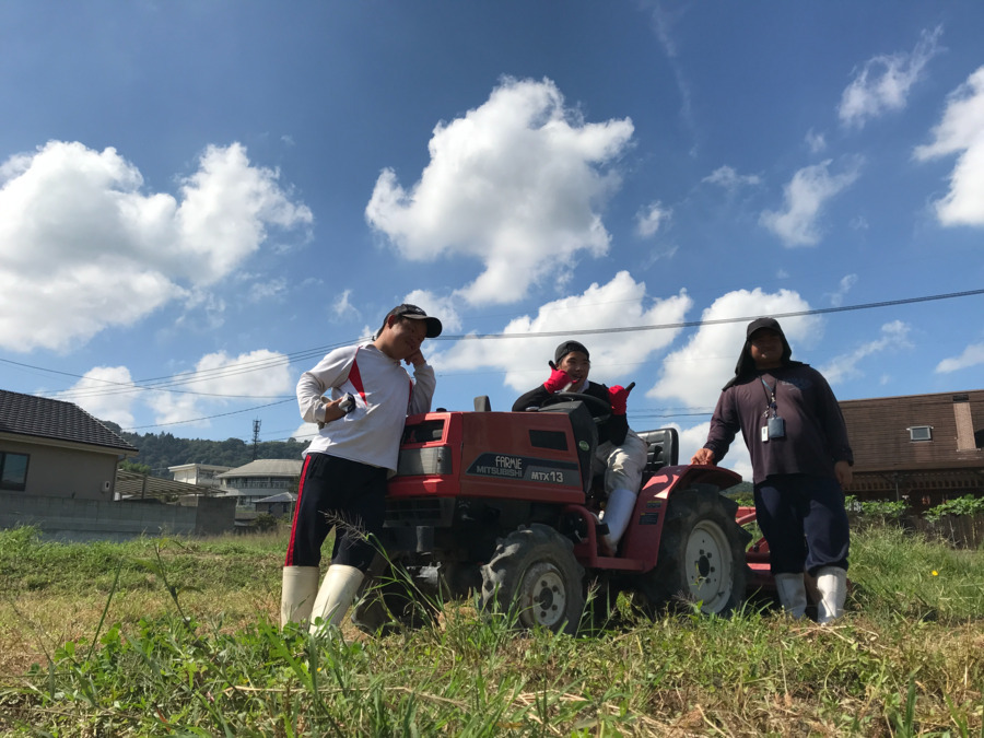 就労継続支援B型 やさい畑クムレの写真