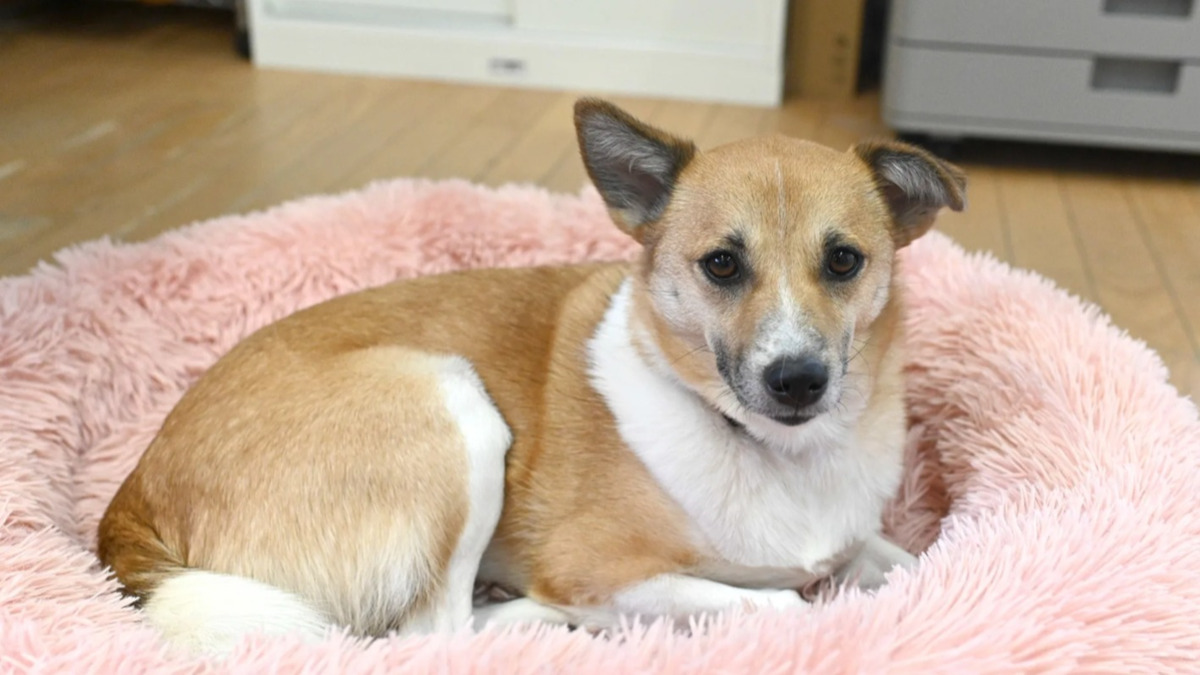 ふたばケアステーション(介護職/ヘルパーの求人)の写真6枚目: