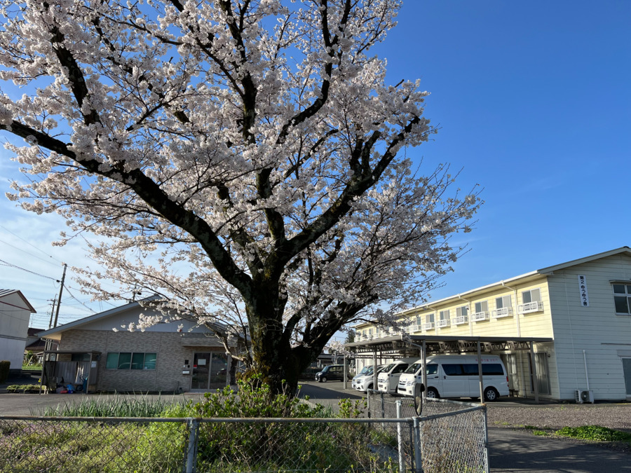 ゆうゆう舎川辺の写真1枚目: