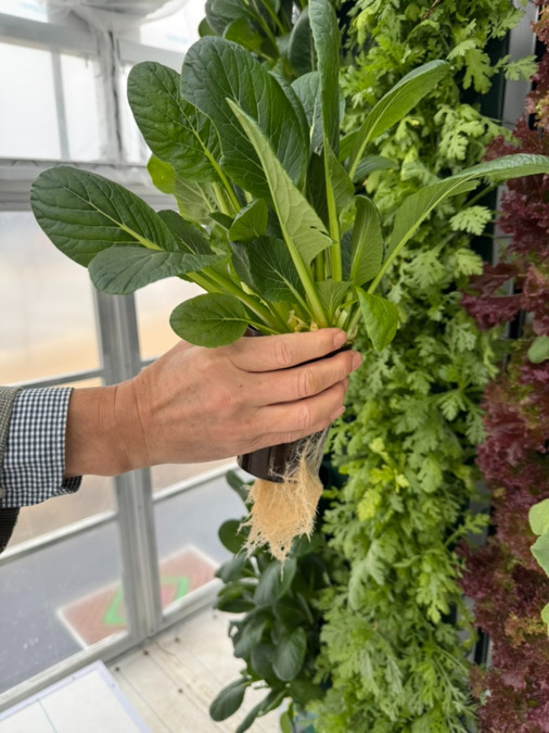 就労継続支援B型事業所アルコ【2026年03月オープン予定】（サービス管理責任者の求人）の写真9枚目：