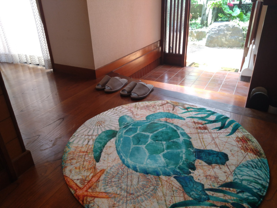 たーとす居宅介護支援事業所（ケアマネジャーの求人）の写真6枚目：玄関ではカメがお出迎え