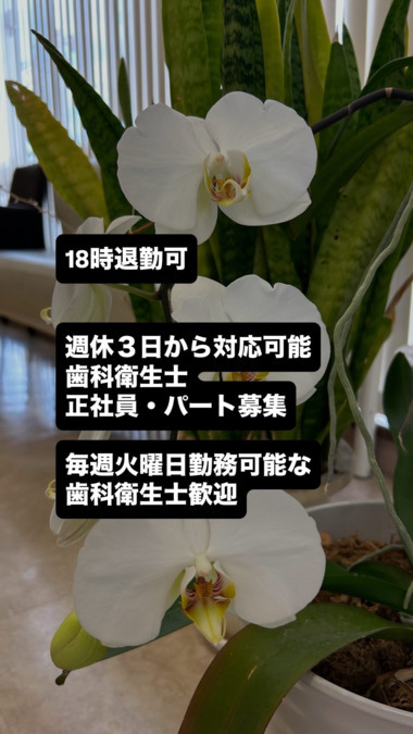 川島デンタルクリニックの写真3枚目：