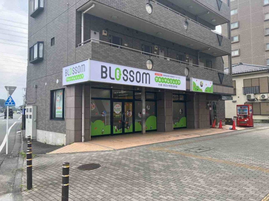ブロッサムジュニア　大塚・帝京大学駅前教室の画像