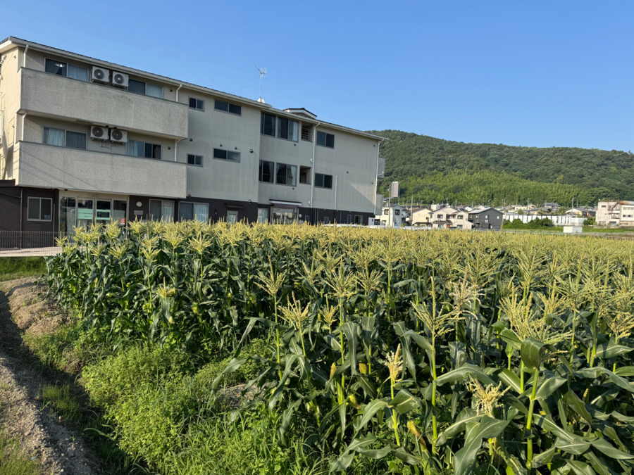 Casa京都西野山の写真