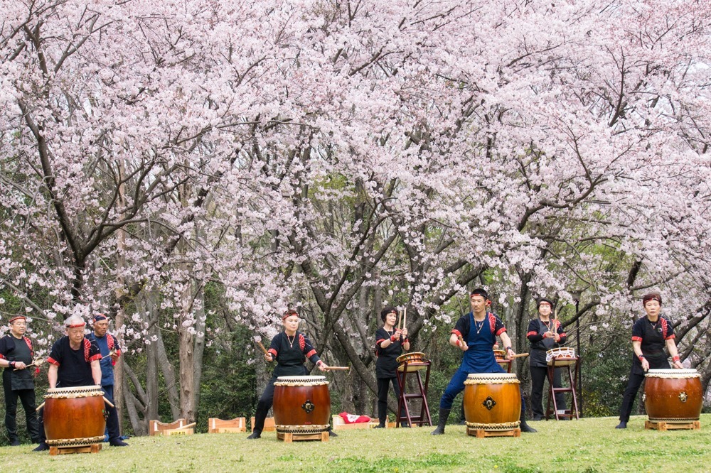 佐鳴湖畔ケアホーム（介護職/ヘルパーの求人）の写真2枚目：お花見会