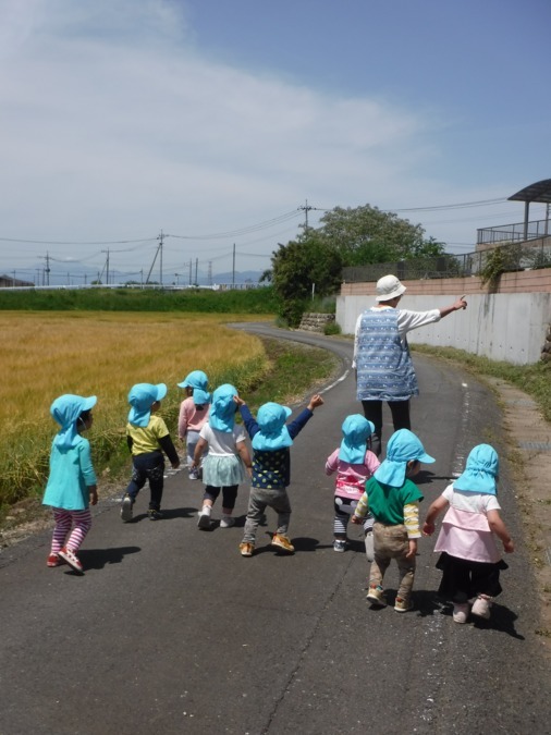 幼保連携型認定こども園　いずみ幼稚園の写真4枚目：