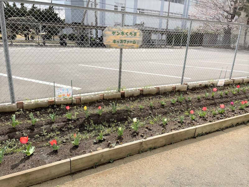 パソナフォスター　日立グループ企業内託児所ゲン木くらぶ（調理師/調理スタッフの求人）の写真2枚目：
