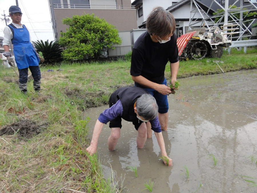 小規模多機能型居宅介護やはぎ苑（介護職/ヘルパーの求人）の写真13枚目：第二やはぎ苑・小規模多機能　田植え祭り