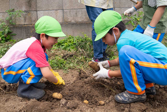 認定こども園吹上幼稚園の写真4枚目：