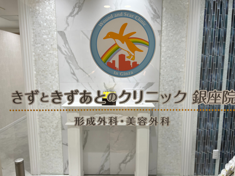 きずときずあとのクリニック銀座院の写真