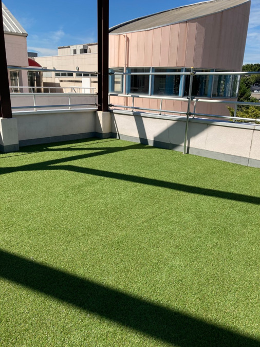 放課後等デイサービス フェニックスきっず（児童発達支援管理責任者の求人）の写真3枚目：こだわりの芝生スペースです。ここで、ミニ菜園やプール遊びとかしたいな。