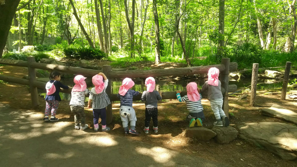 不動さつき保育園(調理師/調理スタッフの求人)の写真2枚目: