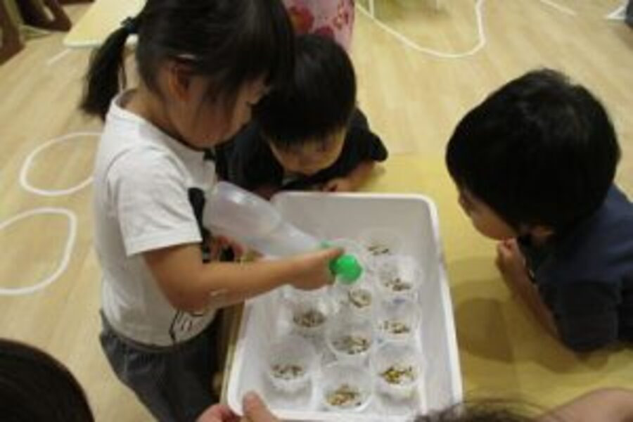 株式会社アイエムオー CECIインターナショナルプリスクール白井校の写真4枚目: