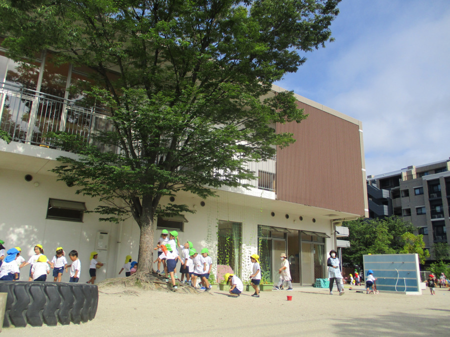 めぐみ保育園の写真