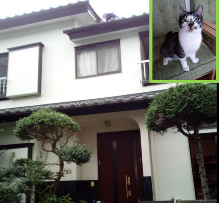 モナミ鎌ヶ谷大仏の写真5枚目: