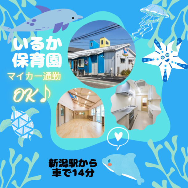 いるか保育園の画像