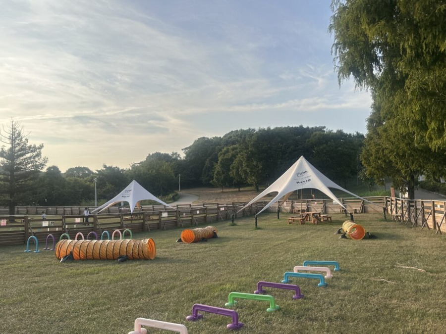 ステップライト（サービス管理責任者の求人）の写真3枚目：