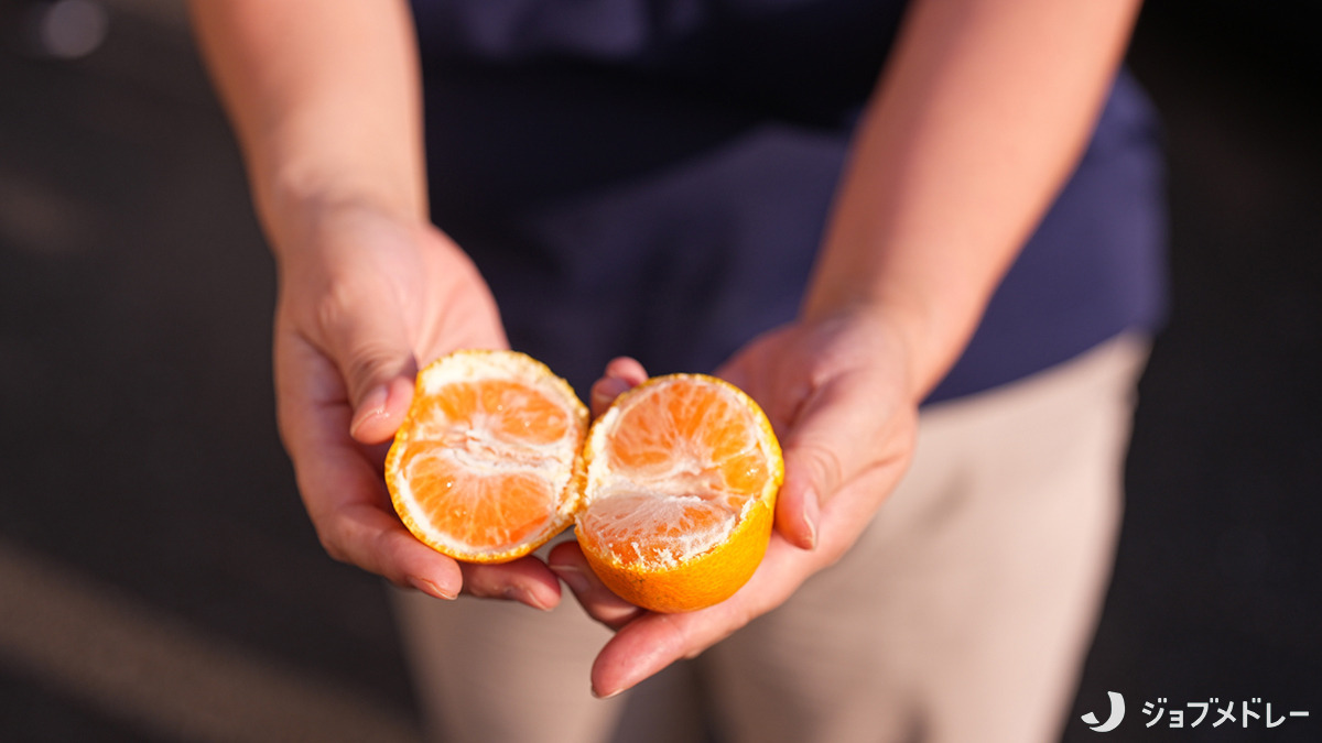 社会福祉法人翠生会　和光ホーム（介護職/ヘルパーの求人）の写真13枚目：みかんの実を収穫しました＊
