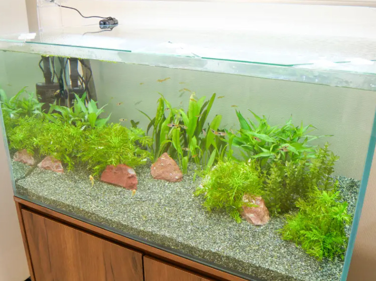 介護付き有料老人ホームHIBISU一宮の写真3枚目:全施設共通