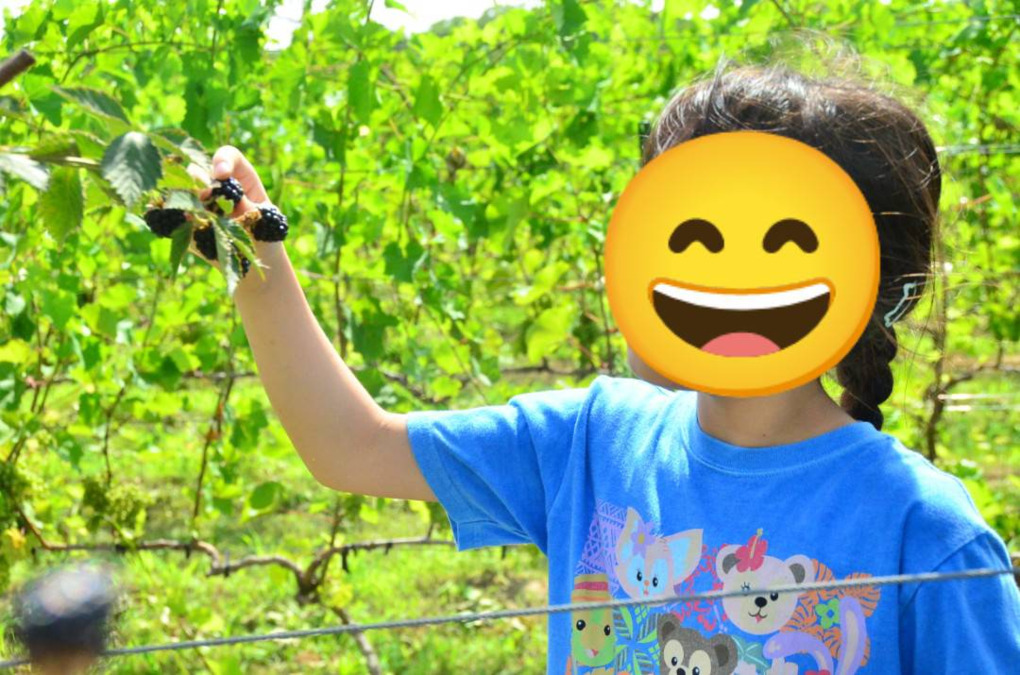 放課後の家 伊勢小木(保育補助の求人)の写真13枚目: