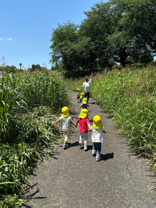 アルページュ保育園 大和田(保育士の求人)の写真9枚目: