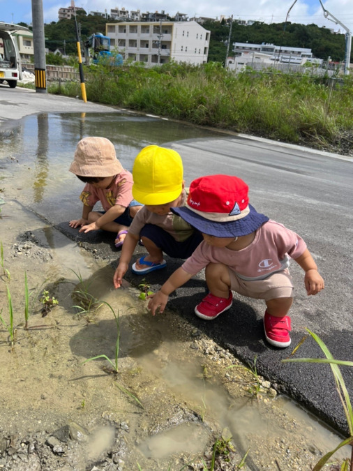 エルキッズうらそえ保育園の写真5枚目：