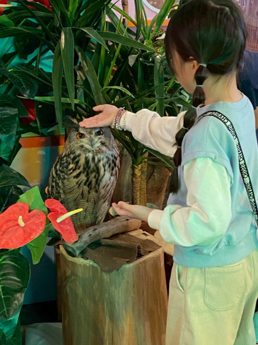 放課後等デイサービス ハッケヨイ!(児童指導員/指導員の求人)の写真6枚目: