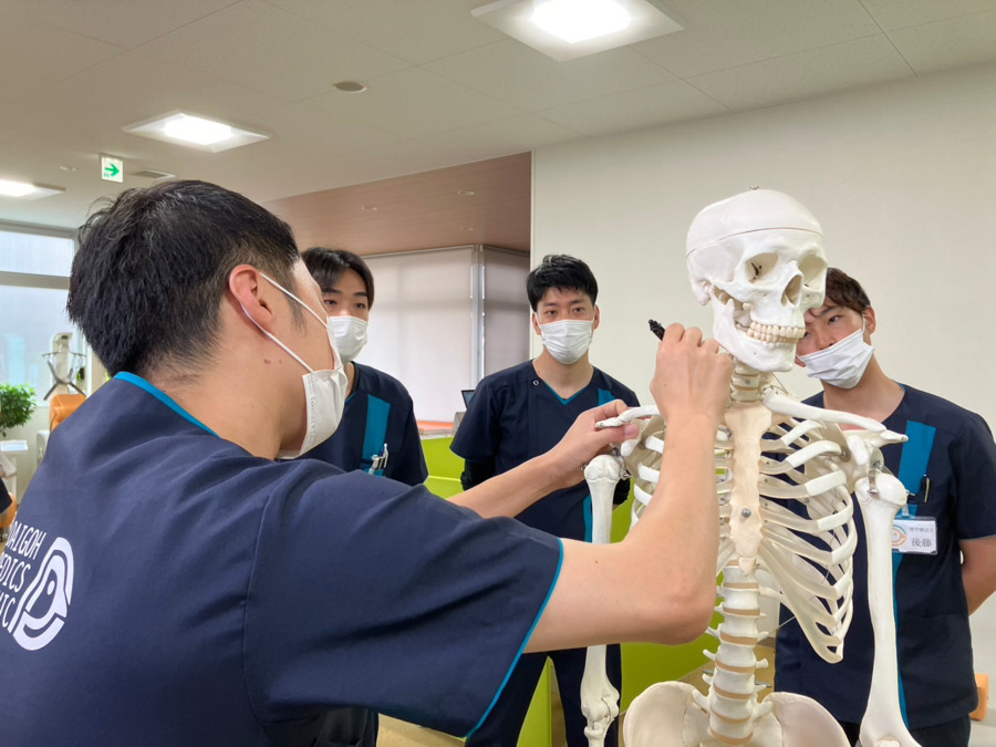 だいごう整形外科（理学療法士の求人）の写真3枚目：実技指導中！みんな真剣です！！