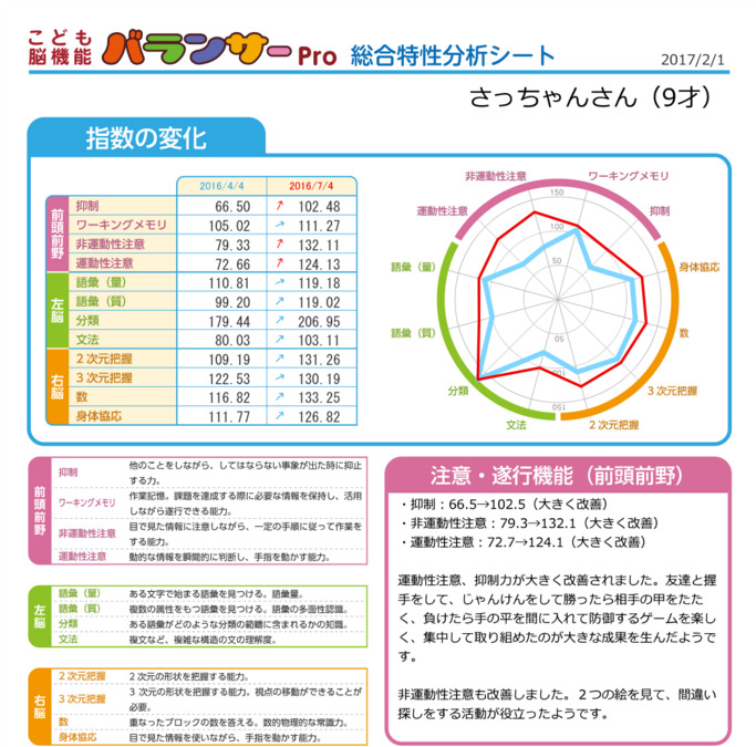 児童発達支援/放課後等デイサービス Hagumi kids（はぐみキッズ）【2025年11月01日オープン予定】の写真16枚目：脳バランサーキッズ
総合特性分析シート