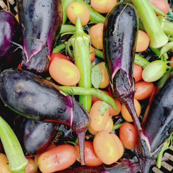 立華認定こども園（保育士の求人）の写真8枚目：
