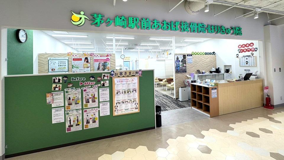 茅ヶ崎駅前あおば接骨院・はりきゅう院【2025年11月27日オープン】(柔道整復師の求人)の写真2枚目: