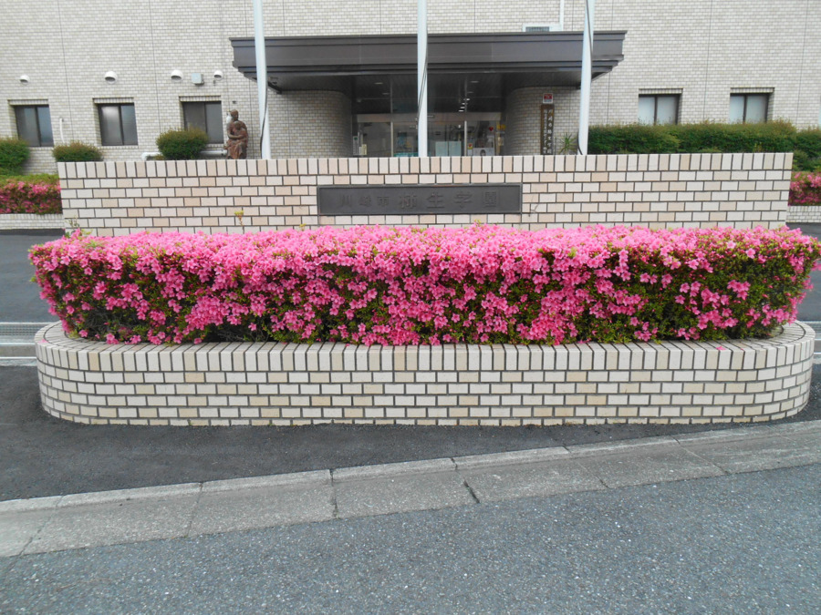 川崎市柿生学園(生活支援員の求人)の写真3枚目: