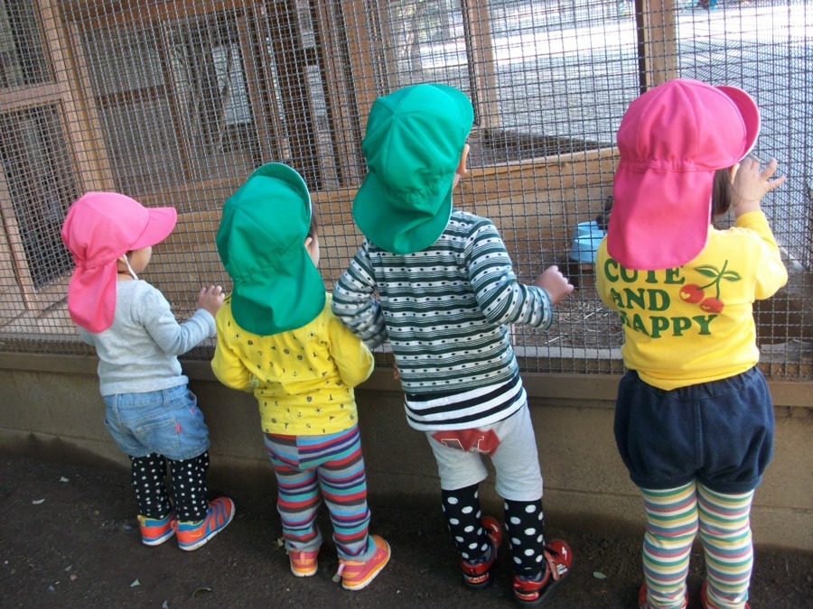 あそびのてんさい和光保育園の写真3枚目：