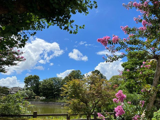 碑文谷薬局の写真16枚目: