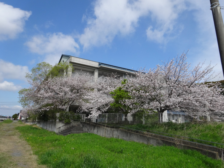 特別養護老人ホーム西貝の郷(看護師/准看護師の求人)の写真3枚目: