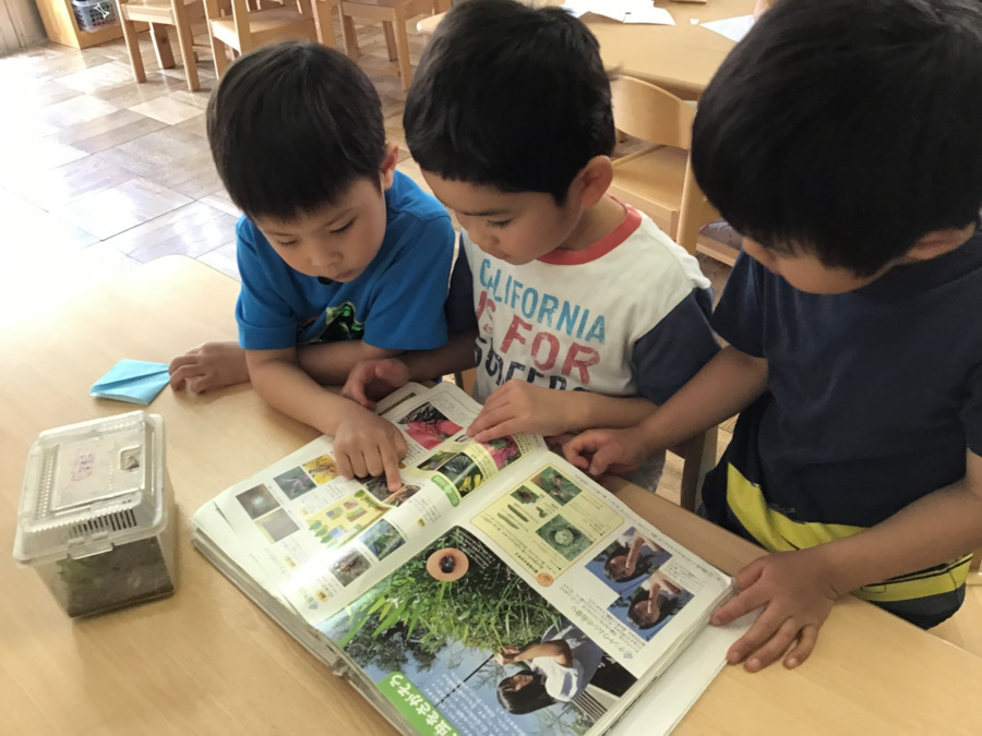 南馬込第二保育園の写真3枚目：