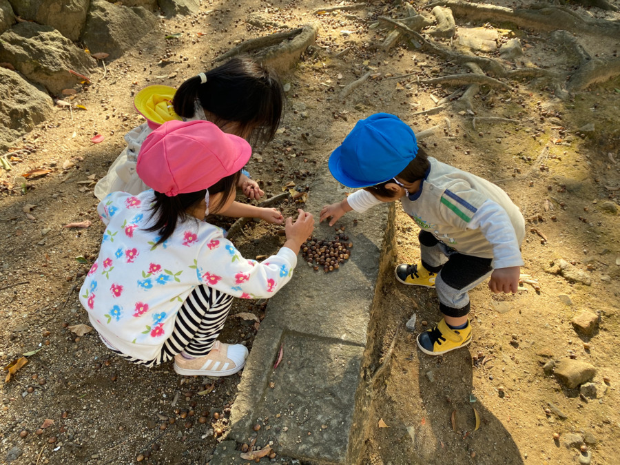 社会福祉法人星座会 星座保育園(調理師/調理スタッフの求人)の写真2枚目: