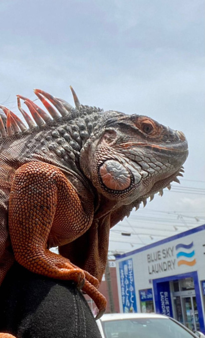 想いのまま（サービス管理責任者の求人）の写真5枚目：