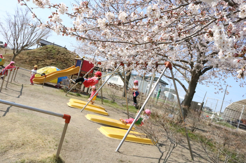 認定こども園薬師寺幼稚園の写真3枚目：